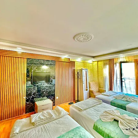 Hagia Sofia Apartment *